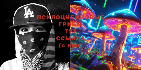 гидропоника Богданович